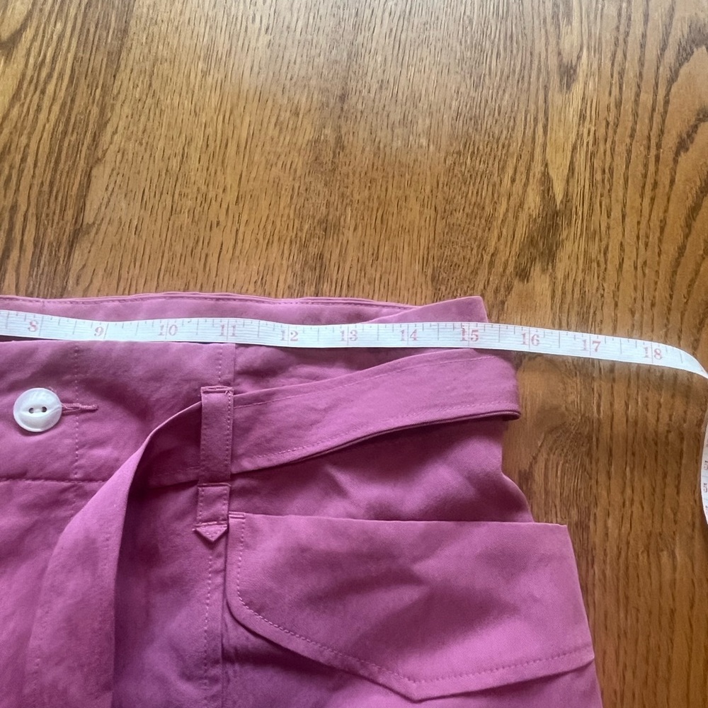 Rag & Bone Blush Pink High Tie Waist Trail Shorts Size 6 Sash - Picture 3 of 11